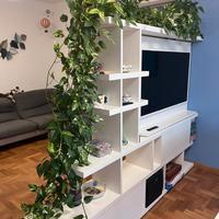 Libreria Mobile TV DoubleFace Laccata Bianca