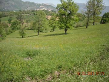 Terreno in zona di Alvito