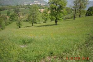 Terreno in zona di Alvito
