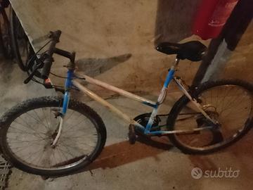 bicicletta 