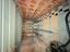 Immagine 23