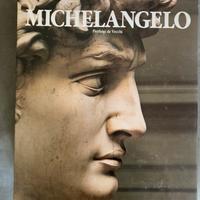 Libro Michelangelo Pierluigi de Vecchi