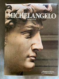 Libro Michelangelo Pierluigi de Vecchi