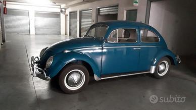 vw maggiolino 6 volt