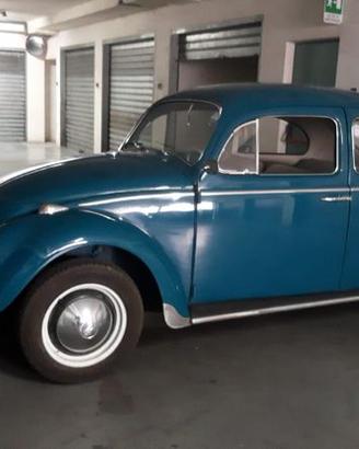vw maggiolino 6 volt