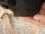 Immagine 6