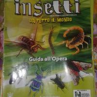 Insetti veri da tutto il mondo 2009
