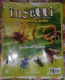 Insetti veri da tutto il mondo 2009