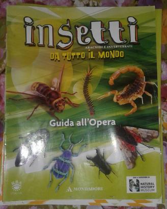 Insetti veri da tutto il mondo 2009