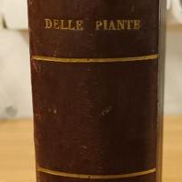 Storia delle piante , libro del   fine "800