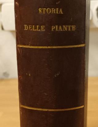 Storia delle piante , libro del   fine "800