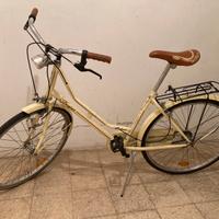 Bicicletta Fregius unisex