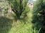 Immagine 19