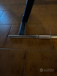 Bilanciere per dischi