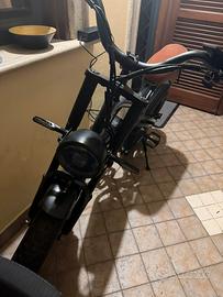 Bicicletta elettrica