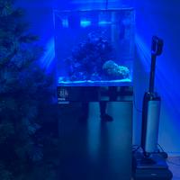Prevendita acquario marino aqpet 50x50x50