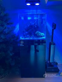 Prevendita acquario marino aqpet 50x50x50