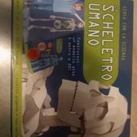 Gioca con la scienza. Lo scheletro umano. Ape Jun.