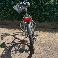 Bici donna