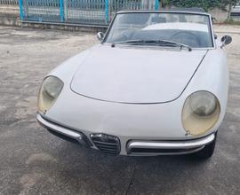 ALFA ROMEO Spider 1600 "Osso di Seppia" - 1966