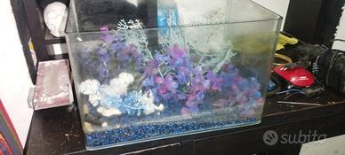 acquario completo di Filtro + accessori 
