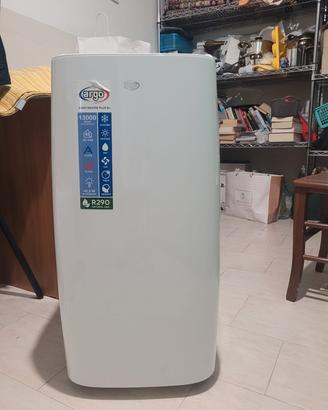 Climatizzatore portatile caldo/freddo.