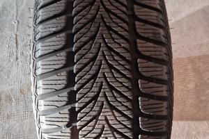 Gomma 225 / 45 R17 Invernale