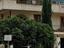 Immagine 7