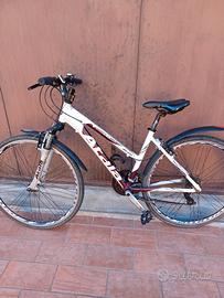 Bici Mountain Bike