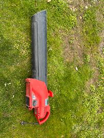 Soffiatore Valex Merak 2200