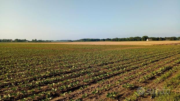 15 ettari terreno agricolo