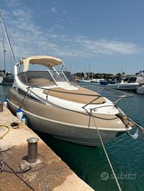 Salpa laver 20.5