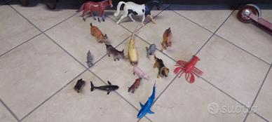 animali per bambini
