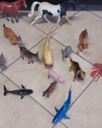 animali per bambini