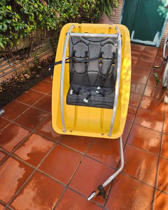 Carrello bici