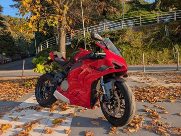Ducati Panigale V4 anno 2024 