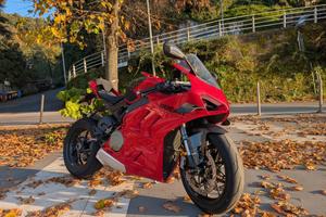 Ducati Panigale V4 anno 2024 