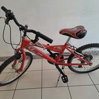 bicicletta 