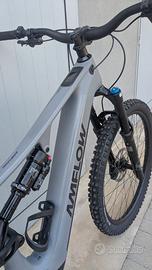 AMFLOW PR CARBON PRO NUOVA