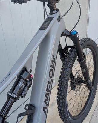AMFLOW PR CARBON PRO NUOVA