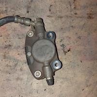 Pinza freno anteriore Piaggio Zip Sp