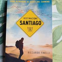 Libro: Destinazione Santiago