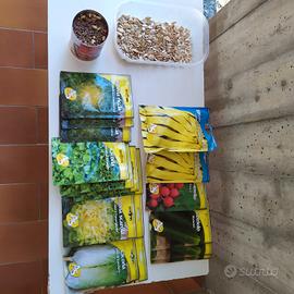 semi da frutta e ortaggi da piantare