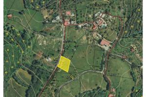 Terreno agricolo a carolei
