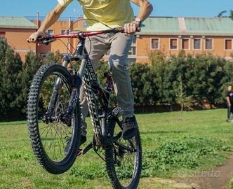 Specialized Enduro EVO 2016 mod