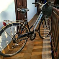 Bici da donna con cestino e portapacchi