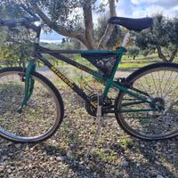 Bici Bianchi Thomisus
