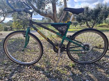 Bici Bianchi Thomisus