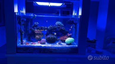 Gnc bluray pro , piu ponte sospensione bridge e ba