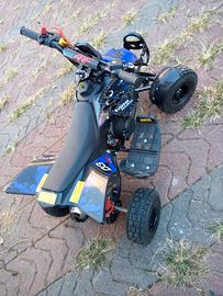 Mini quad